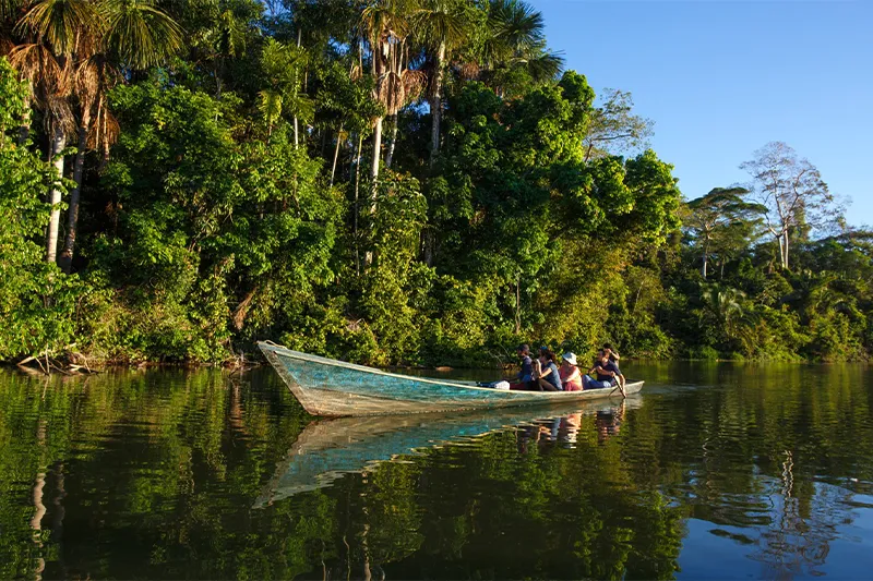 Sandoval Lake: Amazon Oasis